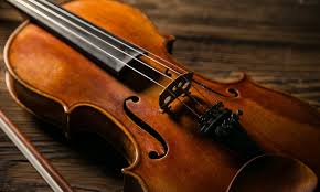 Violin teacher Mr. Krishnendu in Baruipur